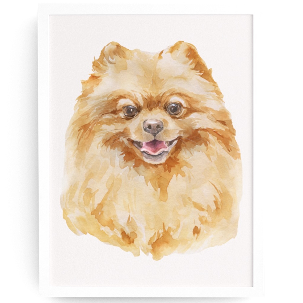 Watercolor Pomeranian Red Dog Wall Art Illustration Print Poster Card Unframed - Picture 2 of 7